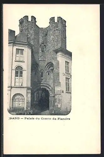 AK Gand, Palais du Comte de Flandre