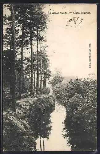 AK `s Gravenwezel, Casa-Blanca