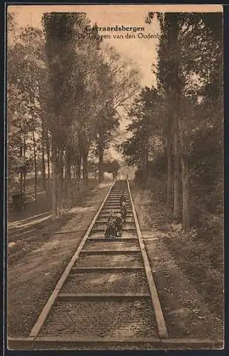 AK Geeraardsbergen, De Trappen van den Oudenberg