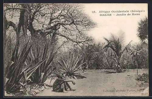 AK Dakar, Jardin de Hann