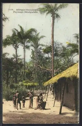 AK Sénégal, Paysage Sénégalais