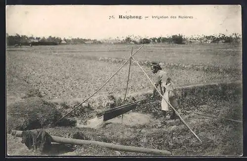 AK Haiphong, Irrigation des Rizières
