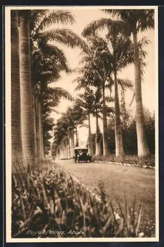 AK Aburi, Royal Palms