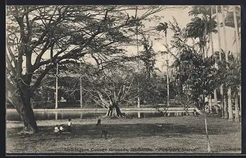AK Barbados, Codrington College Grounds