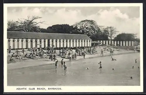 AK Barbados, Aquatic Club Beach