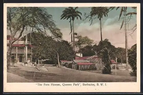 AK Barbados /B. W. I., Queens Park, The Fern Houses