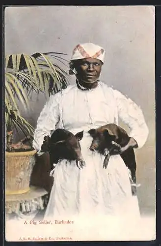 AK Barbados, A Pig Seller