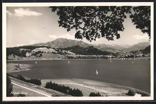 AK Bühl / Alpsee, Blick über den See auf die Alpen