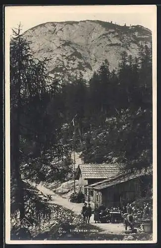 AK Tiergarten-Hütte, Berghütte mit Strasse und Wanderern