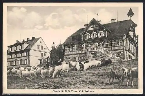 AK Chata KCST na Vel. Polomu, Berghütte mit Schafen