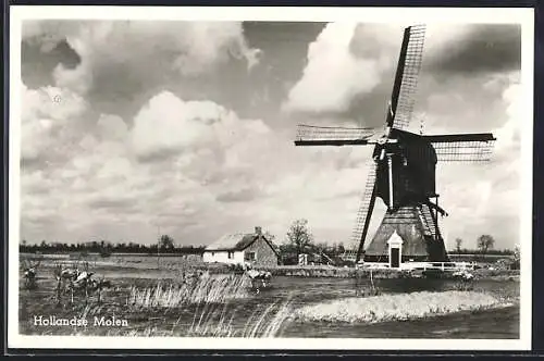 AK Holland, Hollandse Molen
