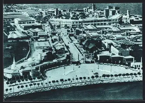 AK Bari, Fiera Del Levante, Aerovisione della penisola fieristica