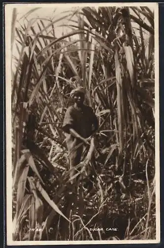 AK Ghana, Sugar Cane