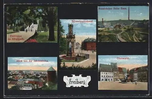 AK Freiberg / Sachsen, Freitreppe im Albertpark, Schwedendenkmal, Halsbrücker Hohe Esse, Blick von der Jakobikirche