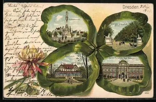 Passepartout-Lithographie Dresden, Stuebelbrunnen, Hauptallee im grossen Garten, Neue Picardie, Kgl. Zwinger