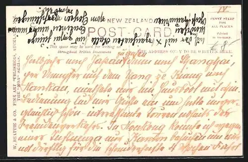 AK The Basin, Waimangu Geyser