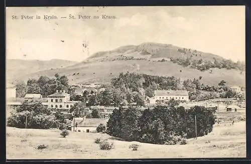 AK St. Peter in Krain, Ortspanorama