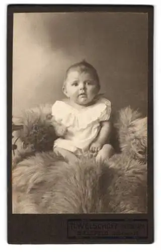 Fotografie H. Welschoff, Bielefeld, Göbenstrasse 25, Porträt eines kleinen Kindes