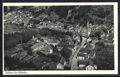 AK Dahlem / Eifel, Totalansicht mit Strasse aus der Vogelschau