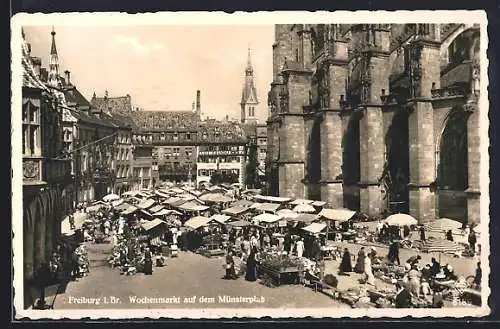 AK Freiburg / Breisgau, Wochenmarkt auf dem Münsterplatz