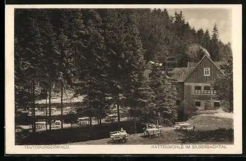 AK Veldrom /Horn, Silberbachtal, Gasthaus-Pension Kattenmühle A. Senger, Ansicht mit Garten