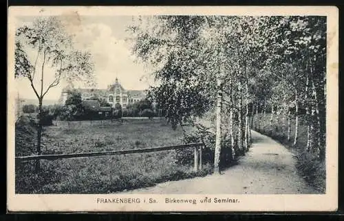 AK Frankenberg /Sa., Birkenweg und Seminar