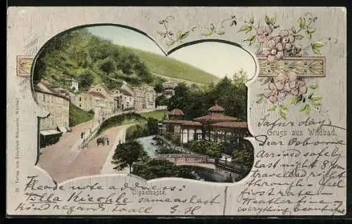AK Wildbad / Württ., Kuranlagen an der Olgastrasse