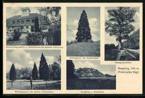 AK Frankenhardt, Burgberg, Wanderheim, Markgrafen-Eiche, Wellingtonien der oberen Pflanzschule