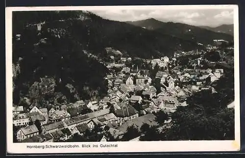AK Hornberg /Schwarzwaldbahn, Blick ins Gutachtal