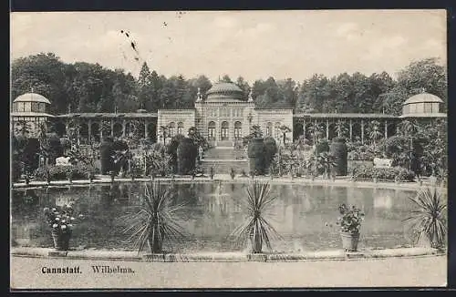 AK Cannstatt, Wilhelma mit Palmen