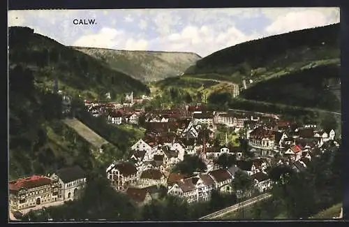 AK Calw, Gesamtansicht mit Umland