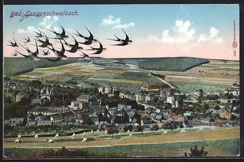 AK Bad Langenschwalbach, Gesamtansicht, Schwalben