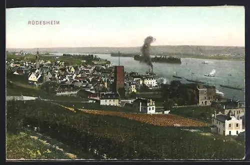 AK Rüdesheim / Rhein, Teilansicht