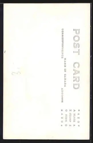 AK Toronto, The Hub of Toronto