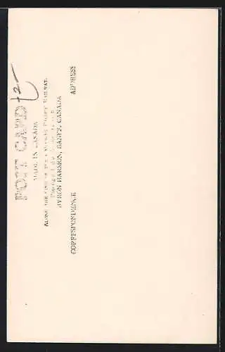 AK Johnson Canyon, Falls