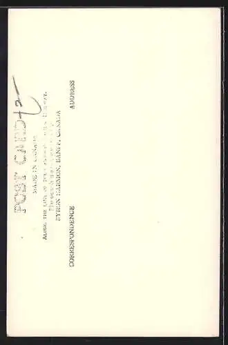 AK Lake of Hanging Glaciers, Partial View