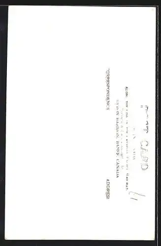 AK Banff, Castle Mtn.