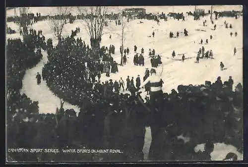 AK Mount Royal, Winter Sports