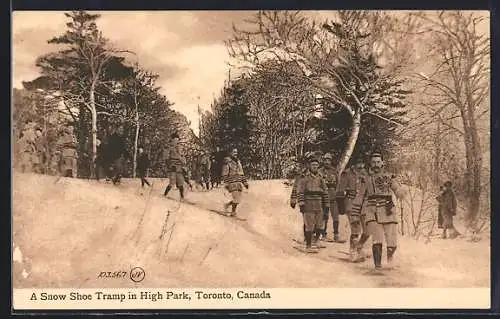 AK Toronto, A Snow Shoe Trap in High Park