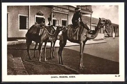 AK Aden, Camel Riders