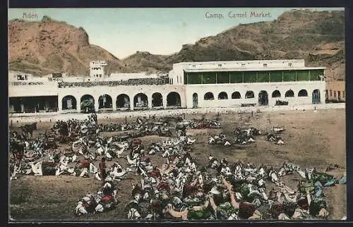 AK Camp, Camel Market