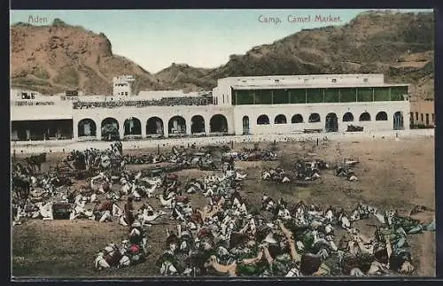 AK Camp, Camel Market