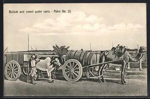 AK Aden, Bullock and camel water carts