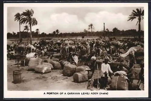 AK Aden, A Portion of a Caravan Lehej