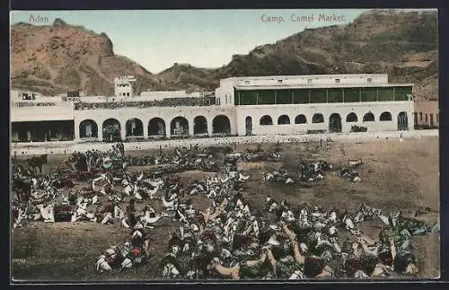 AK Camp, Camel Market