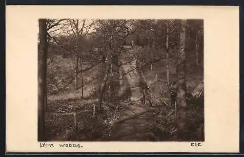AK Lymm, Trail in the Lymm Woods