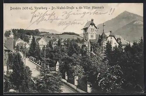 AK Dornbirn /Vorarlberg, Dr.-Waibel-Strasse und die Villen Hämmerle