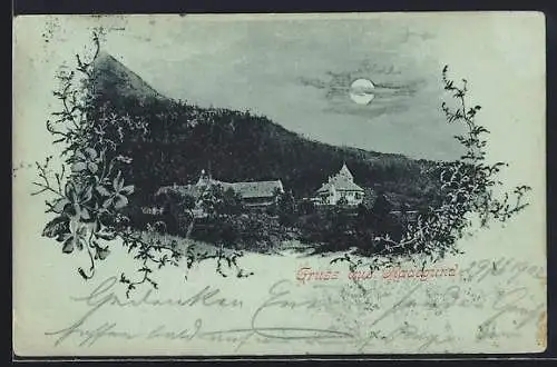 Mondschein-AK Radegund, Ortspartie mit Bäumen