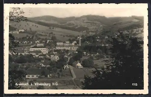 AK Kreisbach b. Wilhelmsburg, Teilansicht mit Strassenpartie