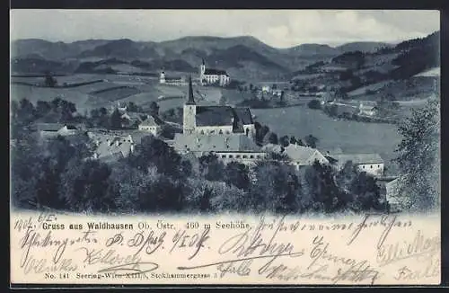 AK Waldhausen /Ob. Östr., Ortspartie mit Kirche